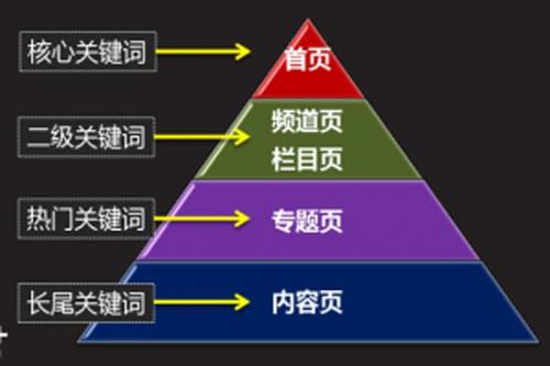 蛋白胶囊——，营养新宠，健康生活的秘密武器