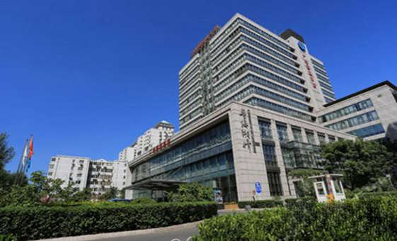 十五美少女漂流记动漫——，青春、冒险与成长的海洋交响曲