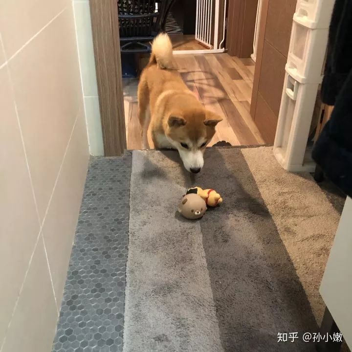 不同品牌镜头国产精品9999久久久久，揭示摄影艺术的无限可能