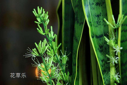 蔡司镜头维修国产精品9999久久久久，精密工艺与专业技术的完美碰撞