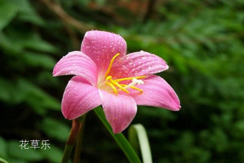 花椒女神曼曼图片疯狂揉吮少妇嫩草99av小说，燃烧的青春，忍者的热血传说