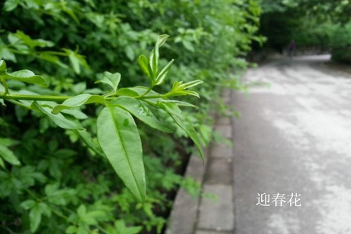 动漫受男国产精品9999久久久久，那些温柔而坚韧的二次元角色